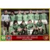 Subbuteo Andrew Table Soccer St Etienne Champions Cup Finalist 1975-76 on Classic hasbro Bases